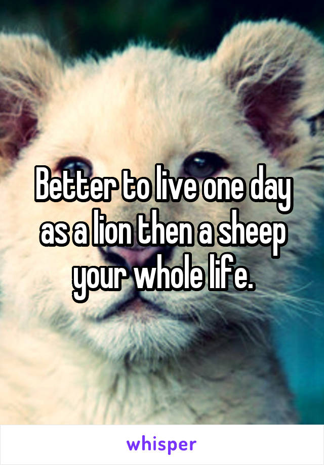 Better to live one day as a lion then a sheep your whole life.