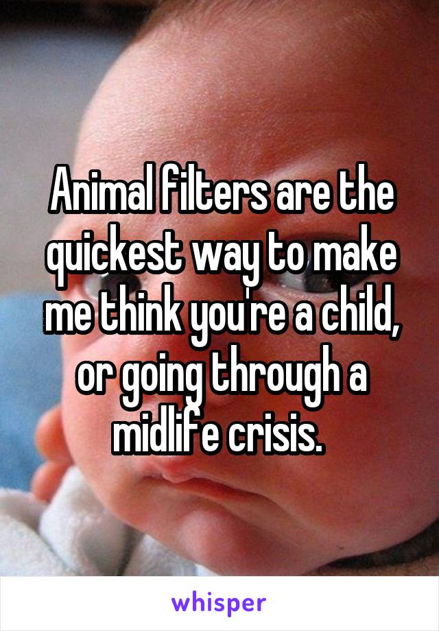 Animal filters are the quickest way to make me think you're a child, or going through a midlife crisis. 