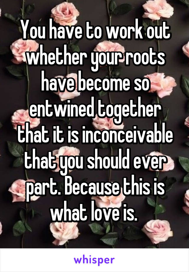 You have to work out whether your roots have become so entwined together that it is inconceivable that you should ever part. Because this is what love is. 
