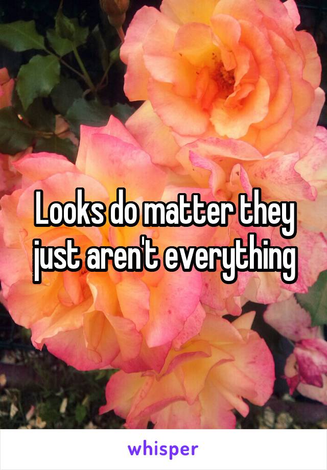 Looks do matter they just aren't everything