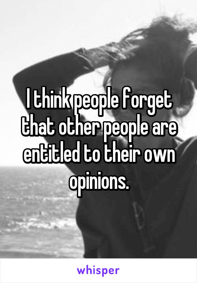 I think people forget that other people are entitled to their own opinions.