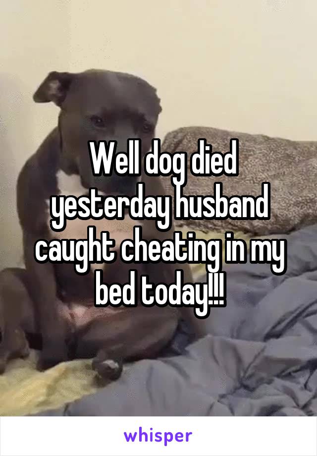  Well dog died yesterday husband caught cheating in my bed today!!!