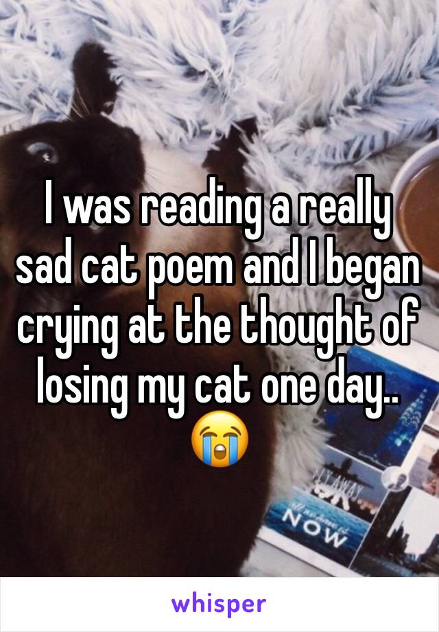 I was reading a really sad cat poem and I began crying at the thought of losing my cat one day.. 😭