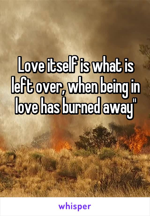 Love itself is what is left over, when being in love has burned away"

