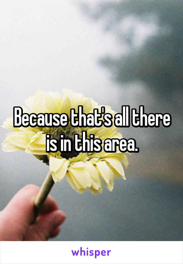 Because that's all there is in this area.