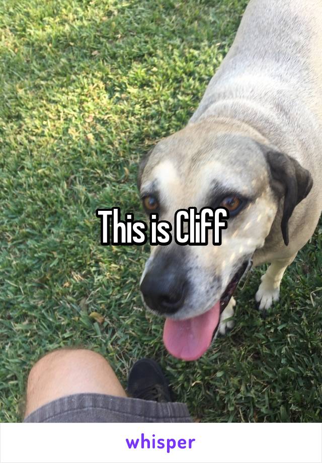 This is Cliff