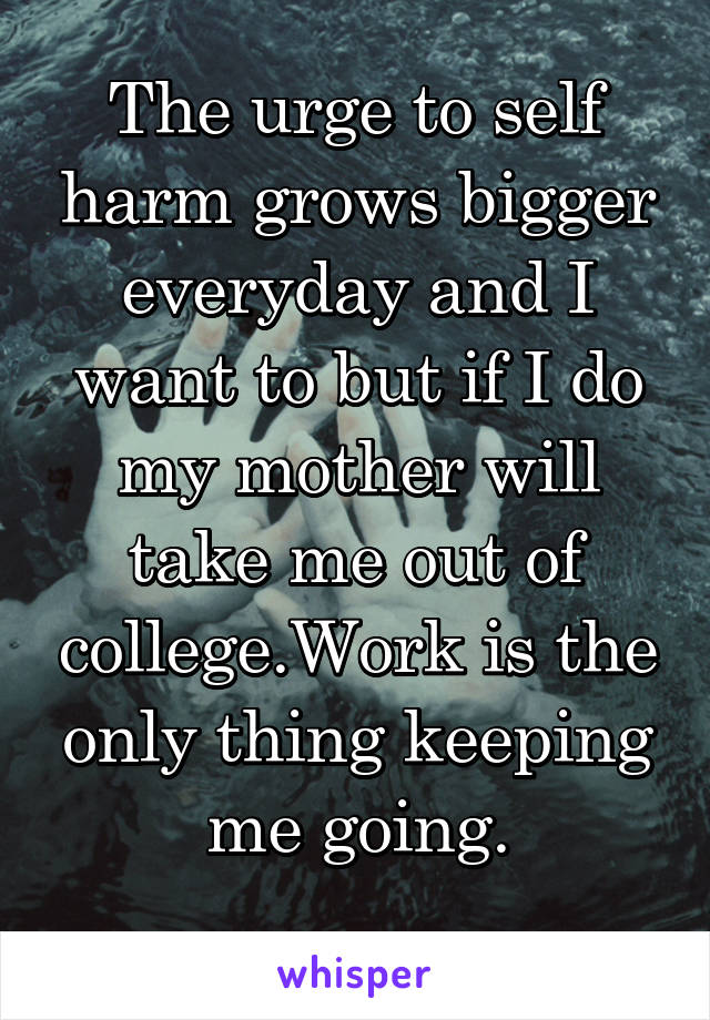The urge to self harm grows bigger everyday and I want to but if I do my mother will take me out of college.Work is the only thing keeping me going.

