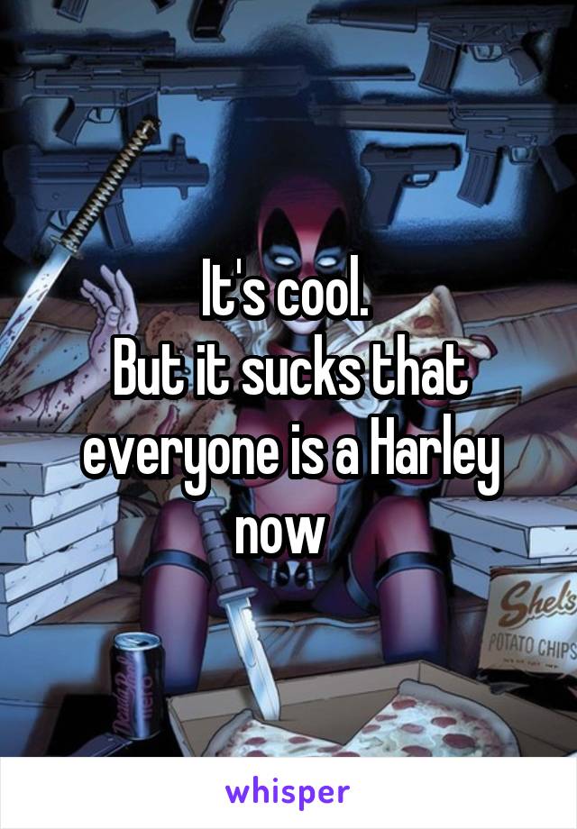 It's cool. 
But it sucks that everyone is a Harley now  