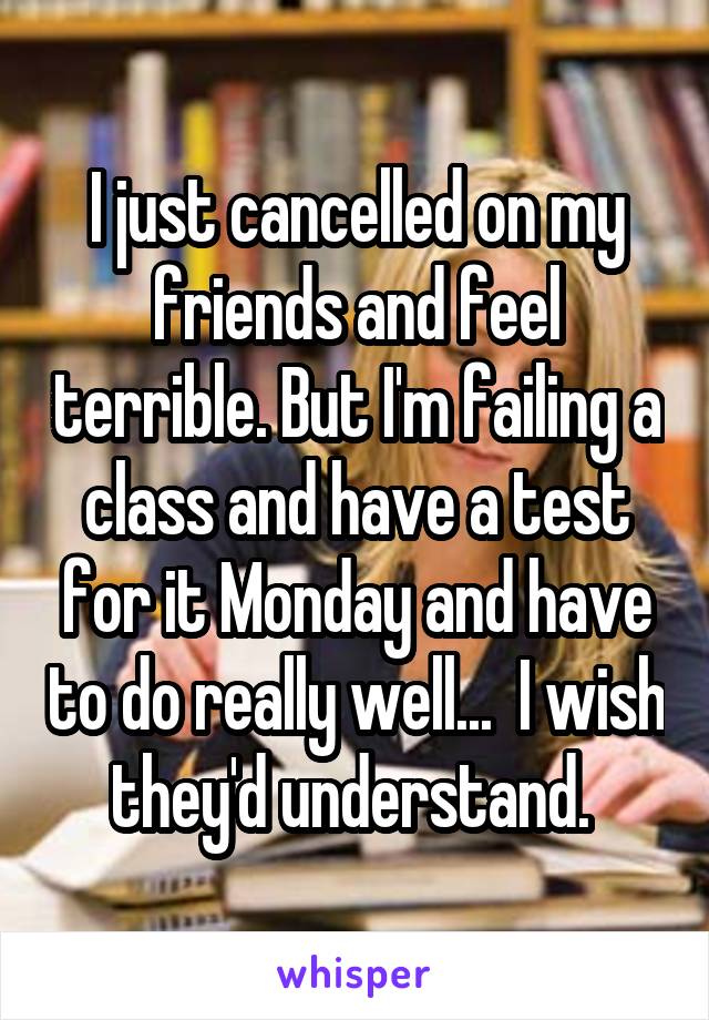 I just cancelled on my friends and feel terrible. But I'm failing a class and have a test for it Monday and have to do really well...  I wish they'd understand. 