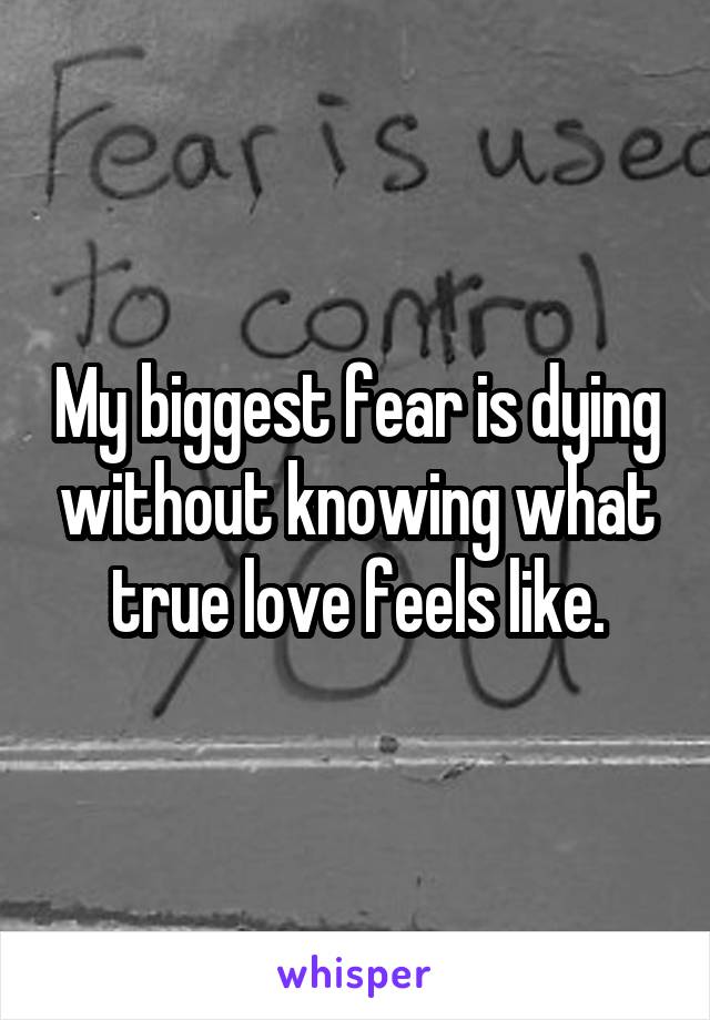 My biggest fear is dying without knowing what true love feels like.
