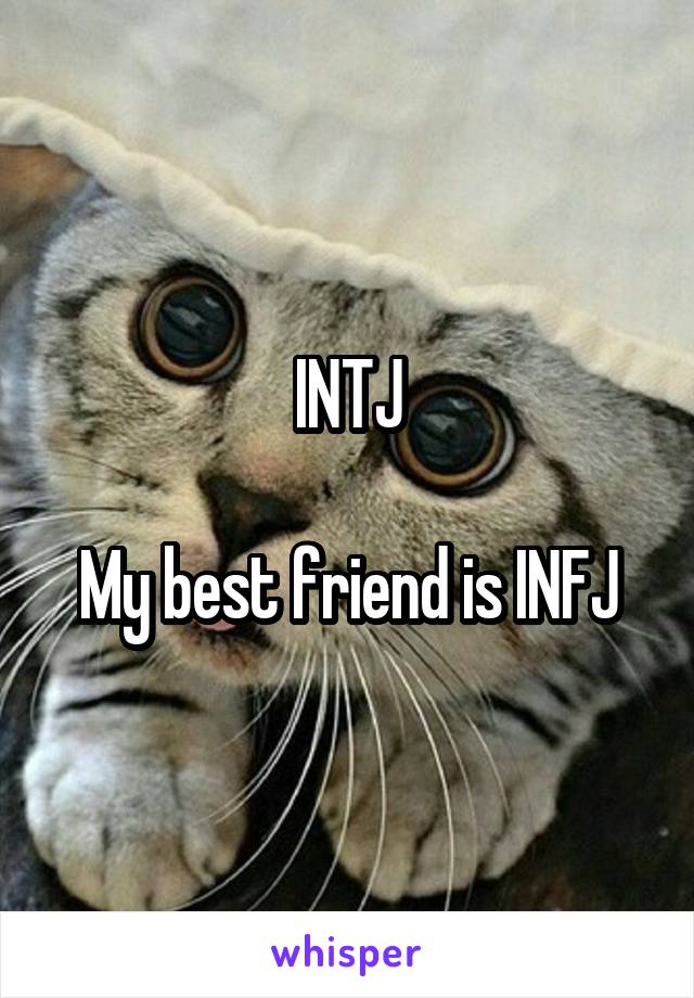 INTJ

My best friend is INFJ