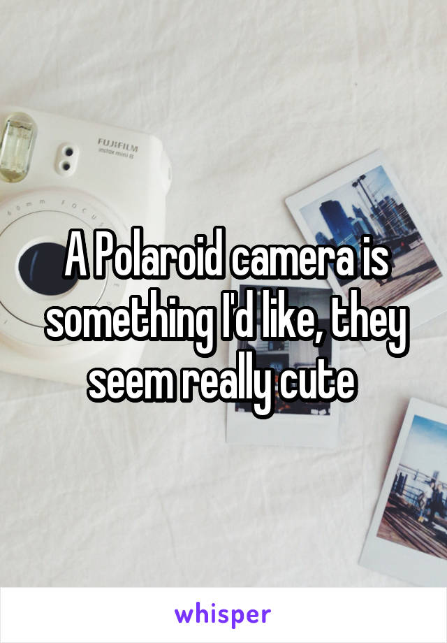 A Polaroid camera is something I'd like, they seem really cute 