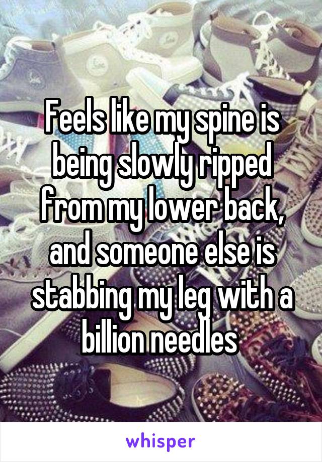 Feels like my spine is being slowly ripped from my lower back, and someone else is stabbing my leg with a billion needles 