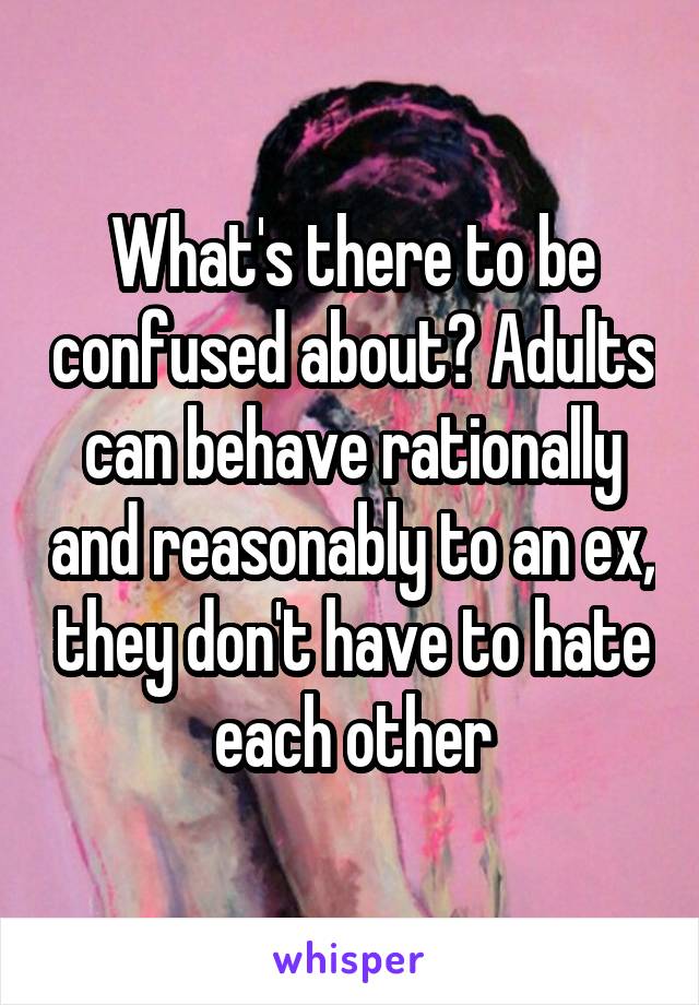 What's there to be confused about? Adults can behave rationally and reasonably to an ex, they don't have to hate each other