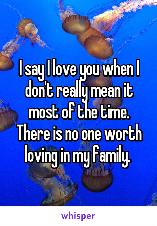 I say I love you when I don't really mean it most of the time. There is no one worth loving in my family. 