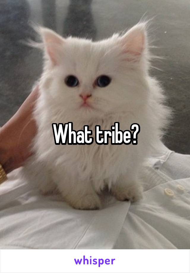 What tribe?
