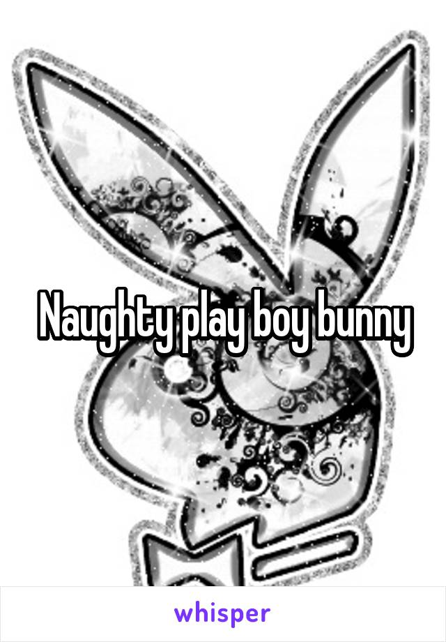Naughty play boy bunny