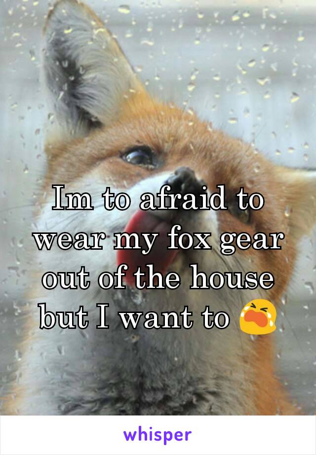 Im to afraid to wear my fox gear out of the house but I want to 😭