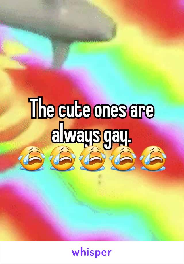 The cute ones are always gay.
😭😭😭😭😭