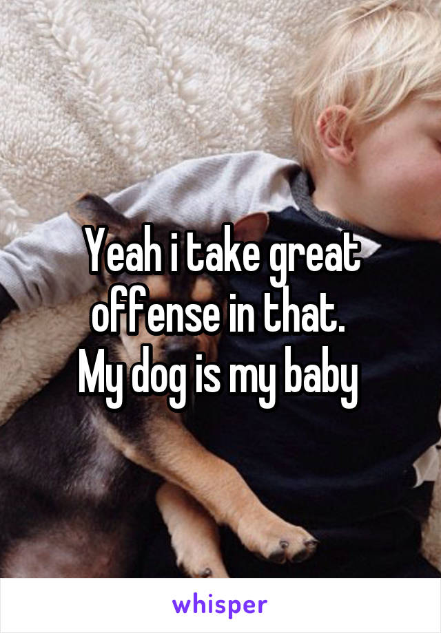 Yeah i take great offense in that. 
My dog is my baby 