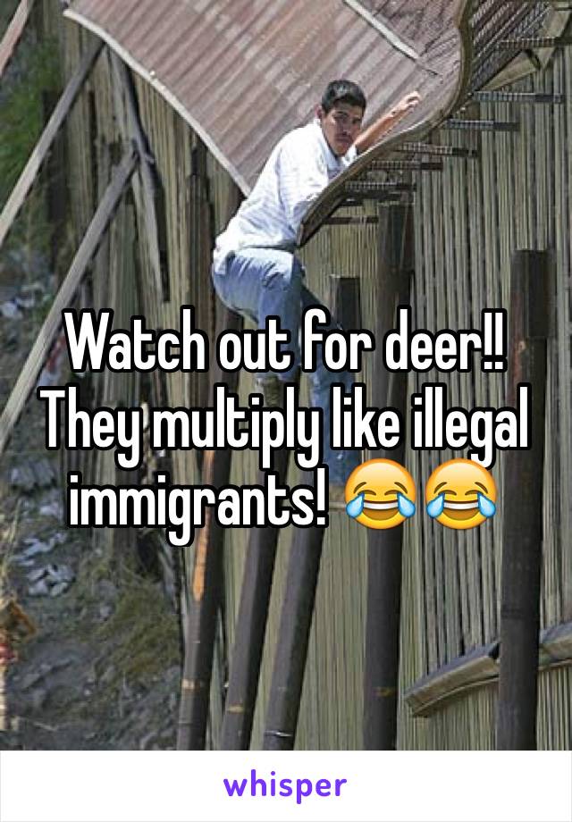 Watch out for deer!! They multiply like illegal immigrants! 😂😂