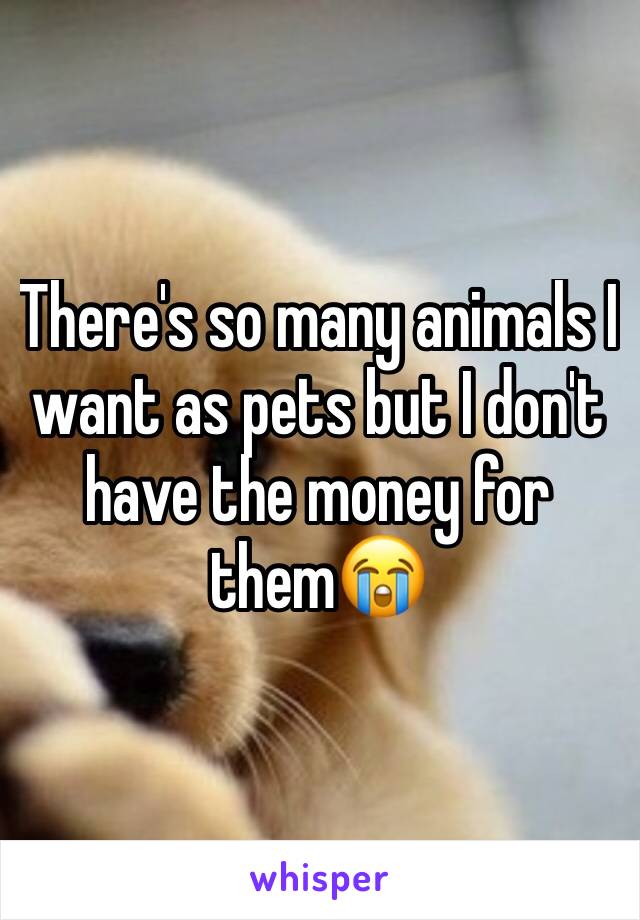 There's so many animals I want as pets but I don't have the money for them😭