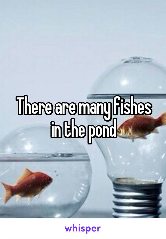 There are many fishes in the pond
