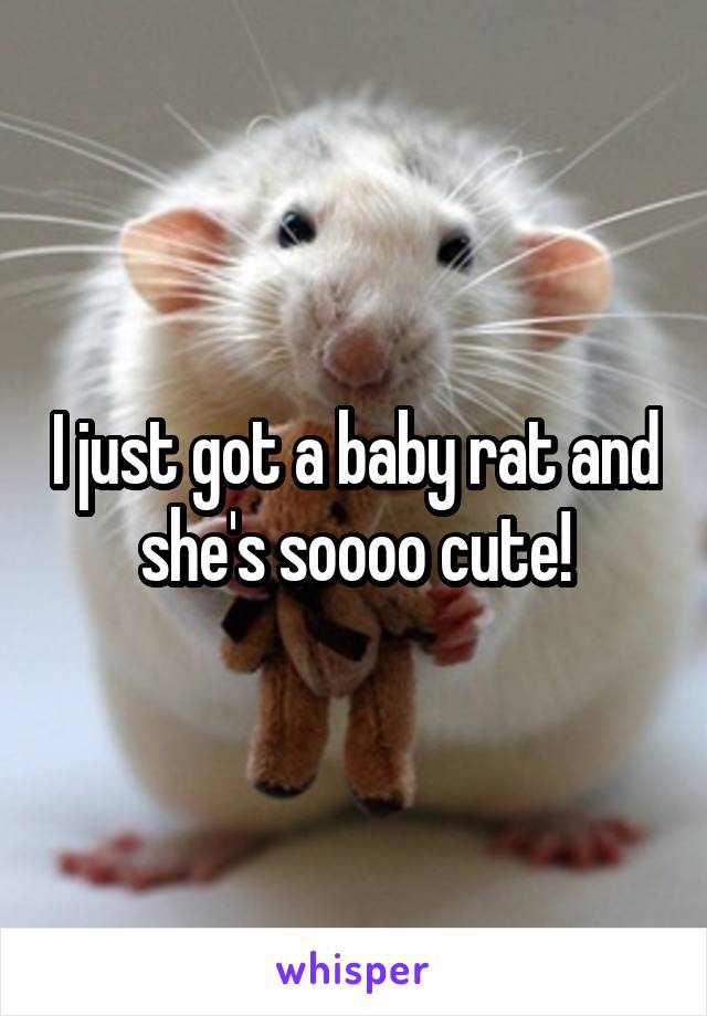 I just got a baby rat and she's soooo cute!