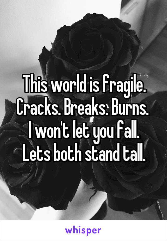 This world is fragile. Cracks. Breaks. Burns. 
I won't let you fall.
Lets both stand tall.