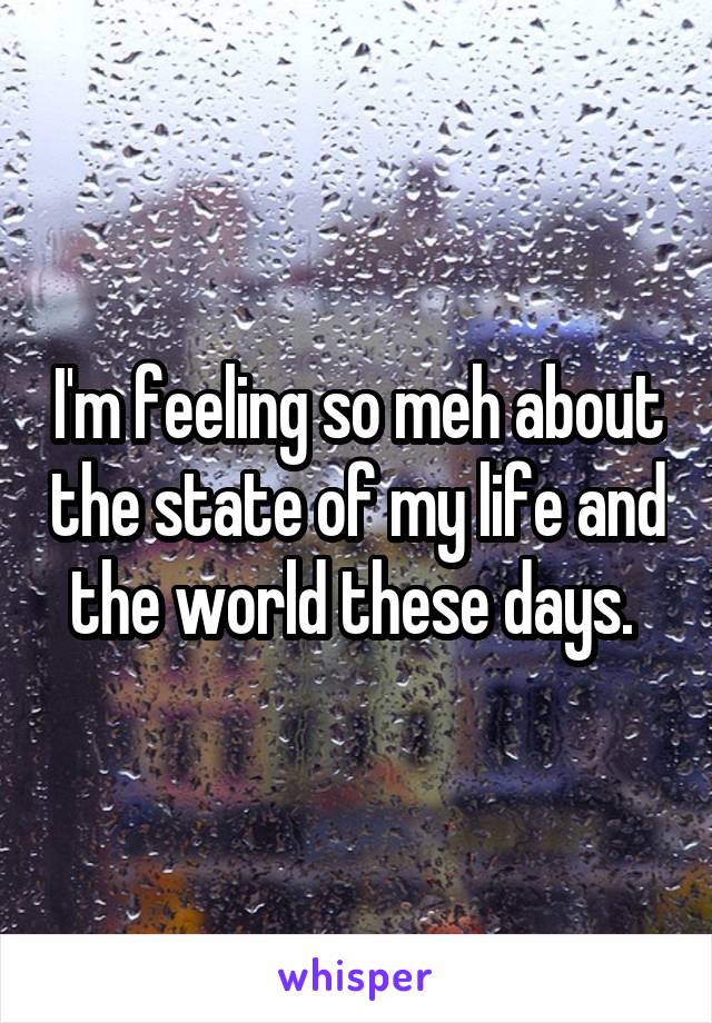 I'm feeling so meh about the state of my life and the world these days. 