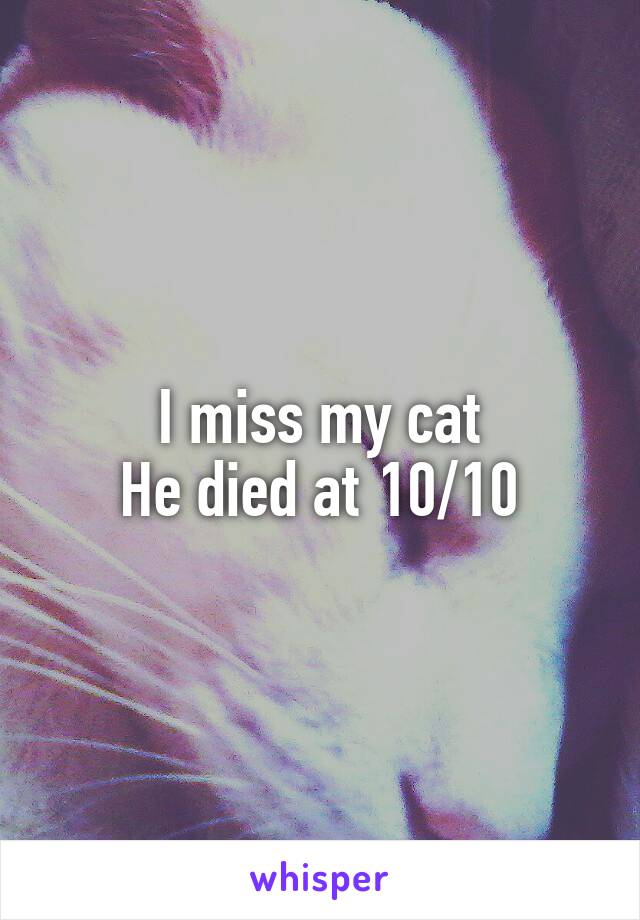 I miss my cat
He died at 10/10