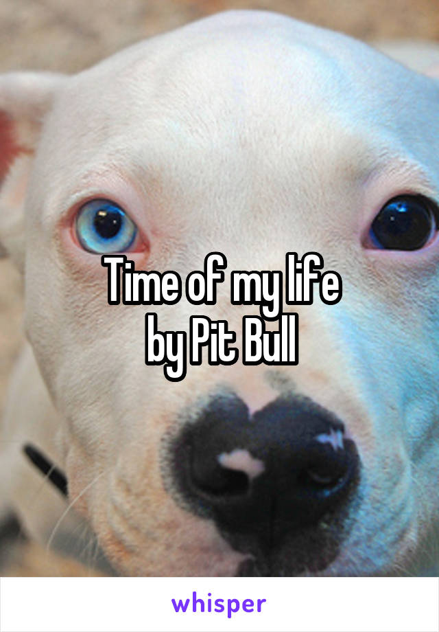 Time of my life
by Pit Bull