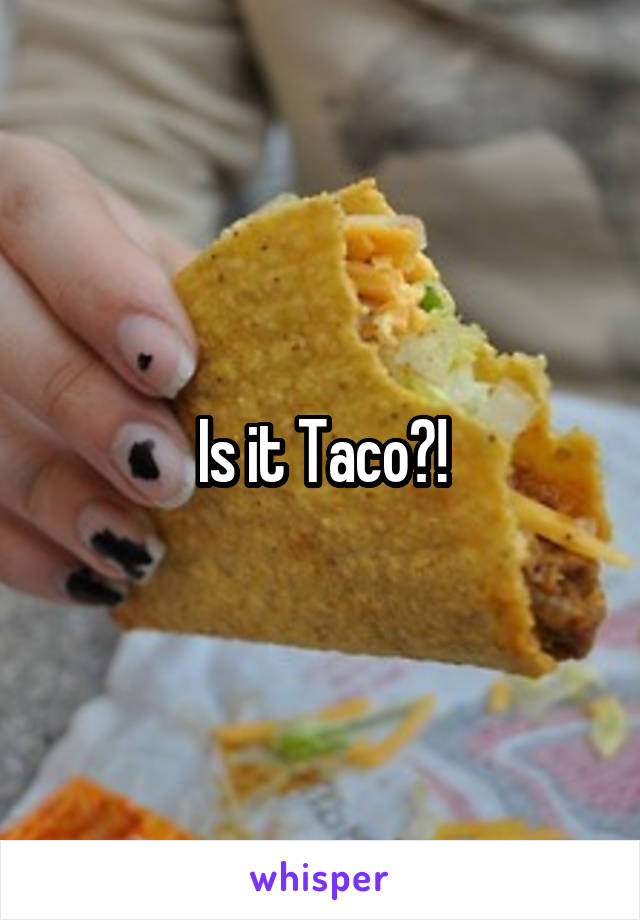 Is it Taco?!