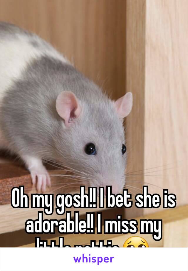 Oh my gosh!! I bet she is adorable!! I miss my little rattie😢