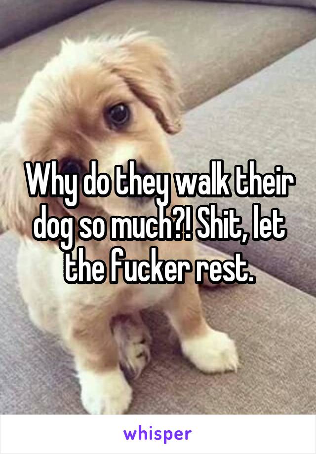 Why do they walk their dog so much?! Shit, let the fucker rest.