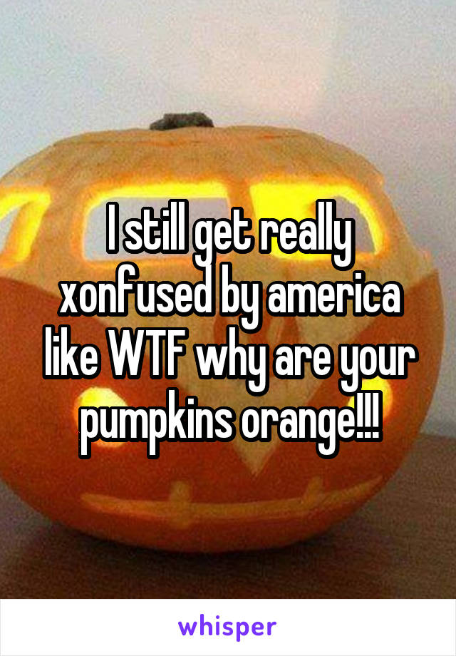 I still get really xonfused by america like WTF why are your pumpkins orange!!!