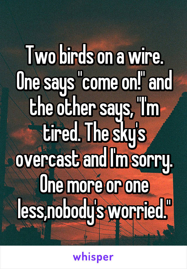 Two birds on a wire. One says "come on!" and the other says, "I'm tired. The sky's overcast and I'm sorry. One more or one less,nobody's worried."