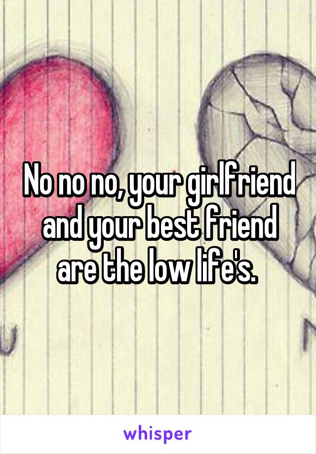No no no, your girlfriend and your best friend are the low life's. 