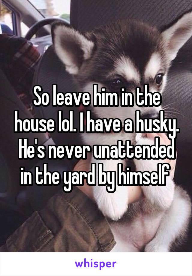 So leave him in the house lol. I have a husky. He's never unattended in the yard by himself 