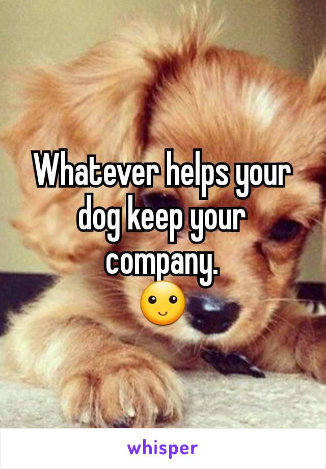 Whatever helps your dog keep your company.
🙂