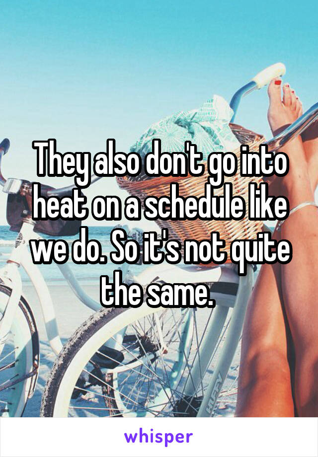 They also don't go into heat on a schedule like we do. So it's not quite the same. 