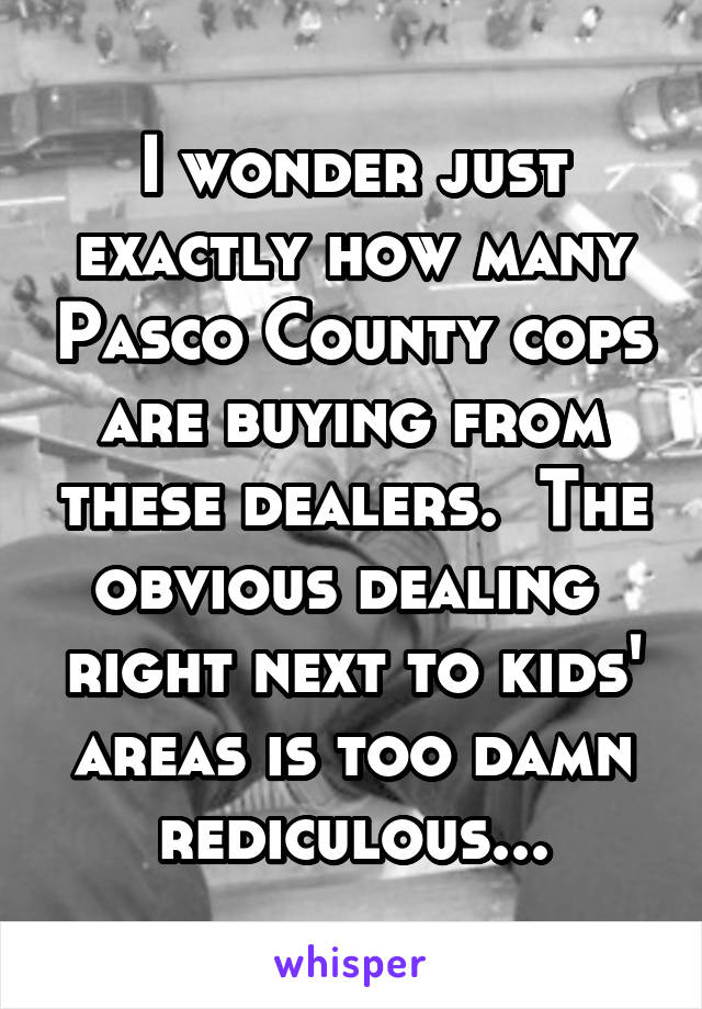 I wonder just exactly how many Pasco County cops are buying from these dealers.  The obvious dealing  right next to kids' areas is too damn rediculous...