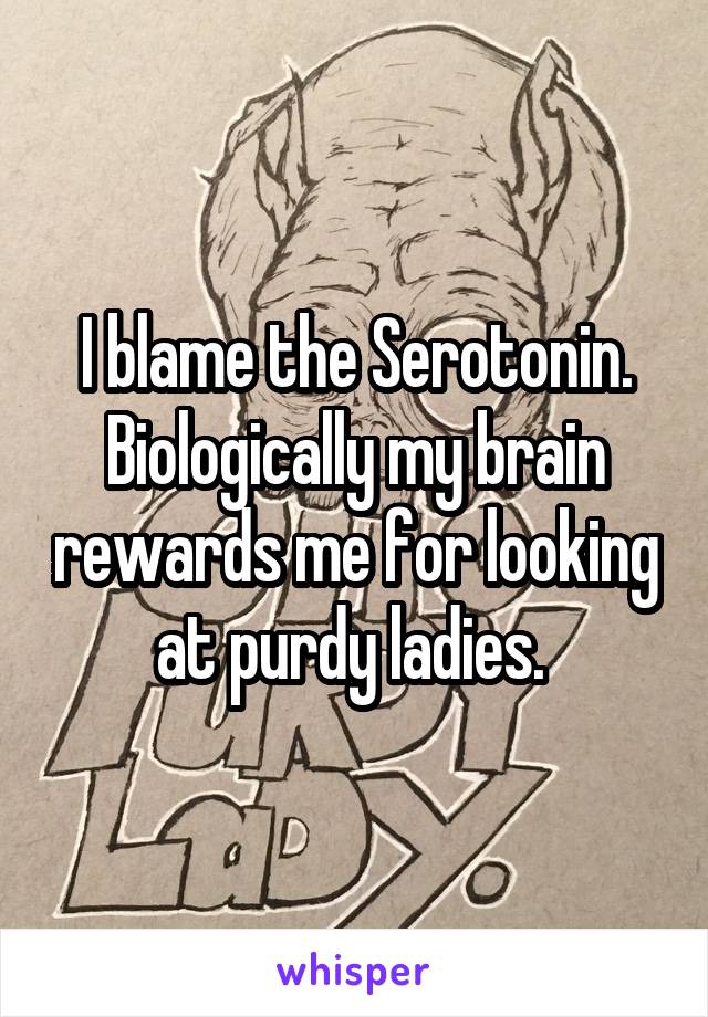 I blame the Serotonin. Biologically my brain rewards me for looking at purdy ladies. 