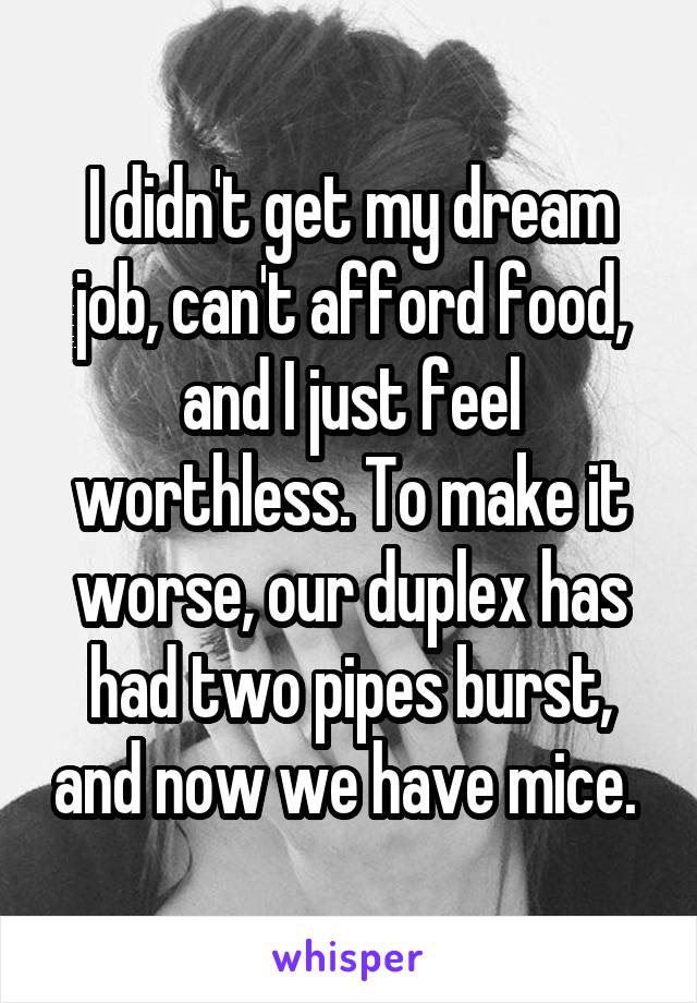 I didn't get my dream job, can't afford food, and I just feel worthless. To make it worse, our duplex has had two pipes burst, and now we have mice. 