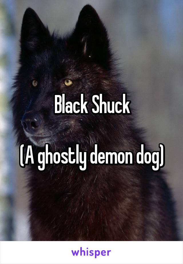 Black Shuck

(A ghostly demon dog)