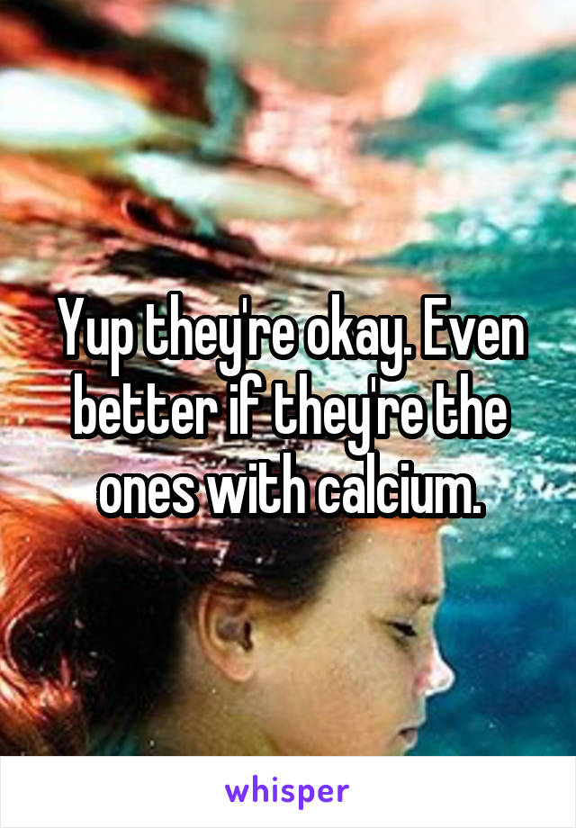 Yup they're okay. Even better if they're the ones with calcium.
