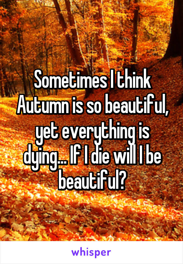 Sometimes I think Autumn is so beautiful, yet everything is dying... If I die will I be beautiful?