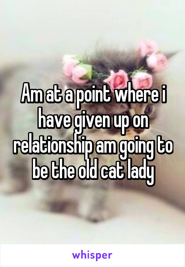 Am at a point where i have given up on relationship am going to be the old cat lady