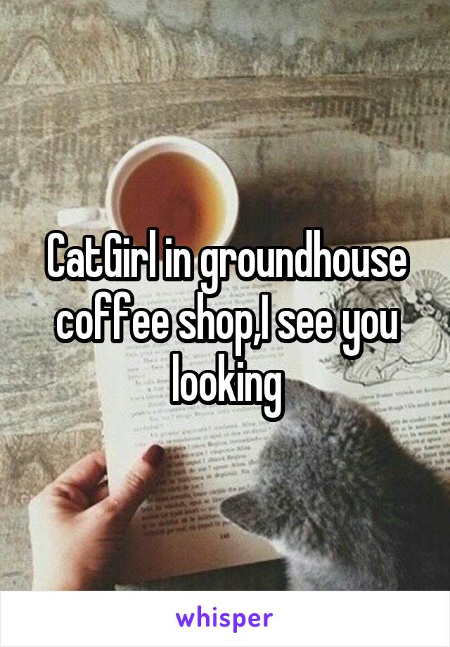 CatGirl in groundhouse coffee shop,I see you looking