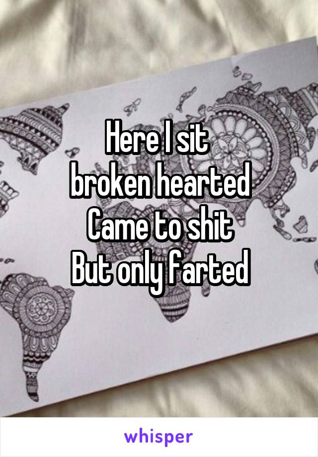 Here I sit 
broken hearted
Came to shit
But only farted
